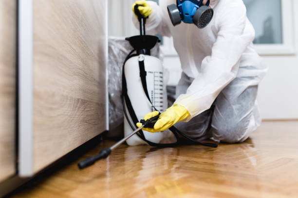 Arkwright, SC Pest Control Company
