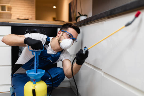 Best Flea Control Services  in Arkwright, SC