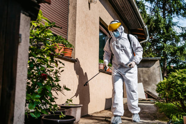 Best Affordable Pest Control Services  in Arkwright, SC