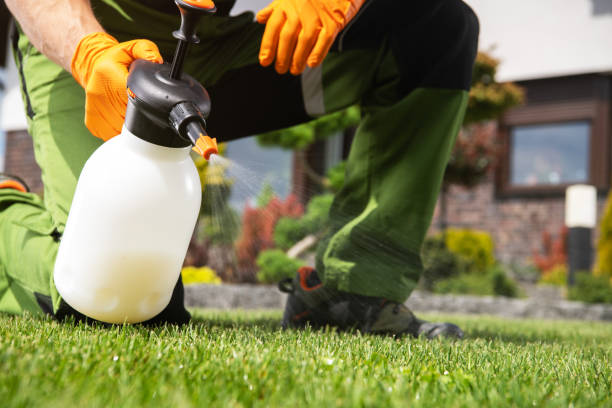 Best Mosquito Control Services  in Arkwright, SC