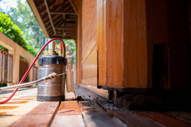 Best Termite Control Services  in Arkwright, SC
