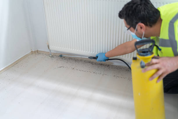 Best Ant Control Services  in Arkwright, SC