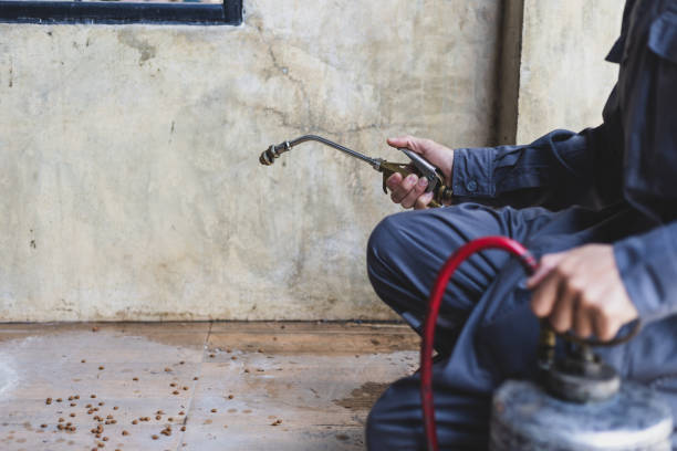 Best Pest Removal Services  in Arkwright, SC